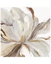 Icanvas Butterfly Flower Ii By Asia Jensen Wall Art In Brown