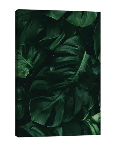 Icanvas By Danilo De Alexandria Wall Art