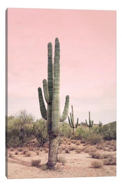 Icanvas Cactus Photography Canvas Print In Pink Multi