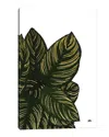Icanvas Calas Iii (gold) Canvas Wall Art