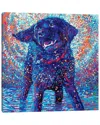 ICANVAS CANINES & COLOR BY IRIS SCOTT WALL ART