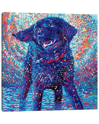 Icanvas Canines & Color By Iris Scott Wall Art