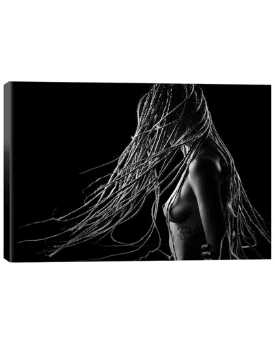 Icanvas Canvas Artwork By Johan Swanepoel