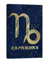 Icanvas Capricorn Zodiac Sign By Nature Magick Wall Art