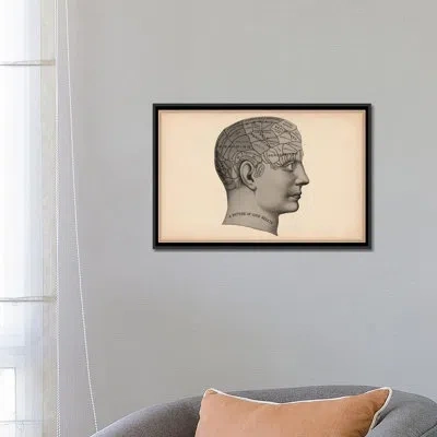 Icanvas Cartography 'phrenology Human Head' - Graphic Art Print On Canvas In No Mat,wrapped Canvas