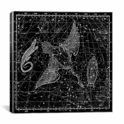 Icanvas Celestial Atlas - Plate 11 (cygnus, Lacerta, Lyra) By Alexander Jamieson Graphic Art On Canvas In Black