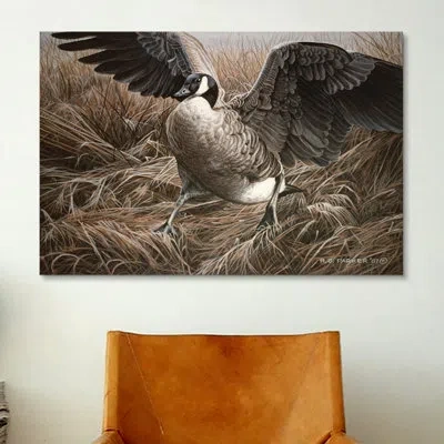 Icanvas 'charging Canada' By Ron Parker Graphic Art On Canvas In Brown;gray