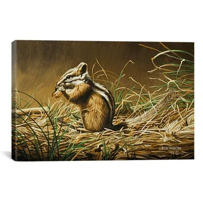 Icanvas 'chipmunk' By Ron Parker Graphic Art On Canvas In Brown