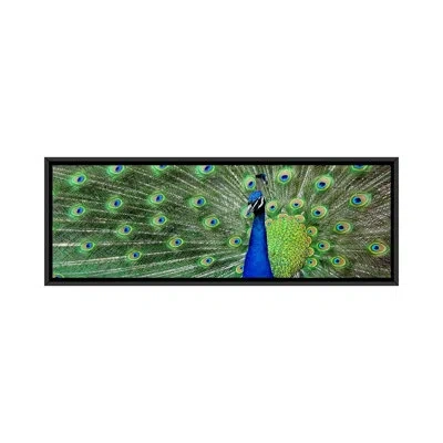 Icanvas Color Bakery Peacock (panoramic) Photographic Print On Canvas In Wrapped Canvas