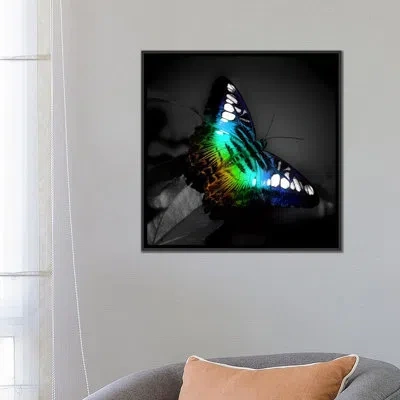 Icanvas Colorful Butterfly Photographic Print On Canvas In Wrapped Canvas,no Mat