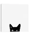 Icanvas Curiosity By Jon Bertelli Wall Art