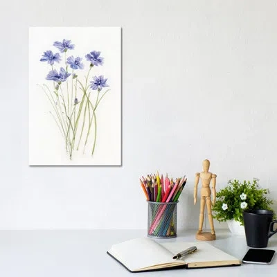 Icanvas Dainty Botanical Cornflower By Sally Swatland - Painting Print In No Mat,wrapped Canvas