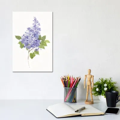 Icanvas Dainty Botanical Lilac By Sally Swatland - Painting Print In Wrapped Canvas,no Mat