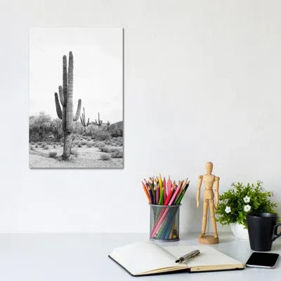 Icanvas Desert Cactus Blush By Sisi And Seb - Graphic Art Print In Wrapped Canvas