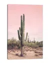 Icanvas Desert Cactus Blush By Sisi & Seb Wall Art