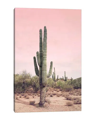 Icanvas Desert Cactus Blush By Sisi & Seb Wall Art