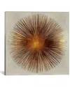 Icanvas Bronze Sunburst I By Abby Young