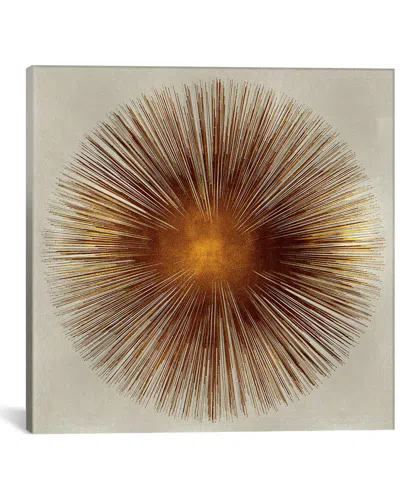 Icanvas Bronze Sunburst I By Abby Young