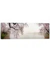 Icanvas Discontinued  Cherry Blossoms At The Lakesidewashington Dc, Usa By Panoramic Images Wall Art