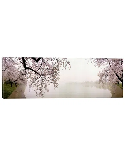 Icanvas Discontinued  Cherry Blossoms At The Lakesidewashington Dc, Usa By Panoramic Images Wall Art
