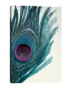 Icanvas Feather Canvas Art