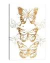 Icanvas Gold Butterfly Contours I Canvas Wall Art