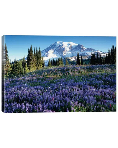 Icanvas Discontinued  Snow Covered Mount Rainier With Wildflower Field, Washington, Usa