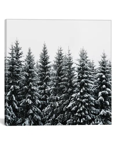 Icanvas Discontinued  The White Bunch By Tordis Kayma Canvas Artwork