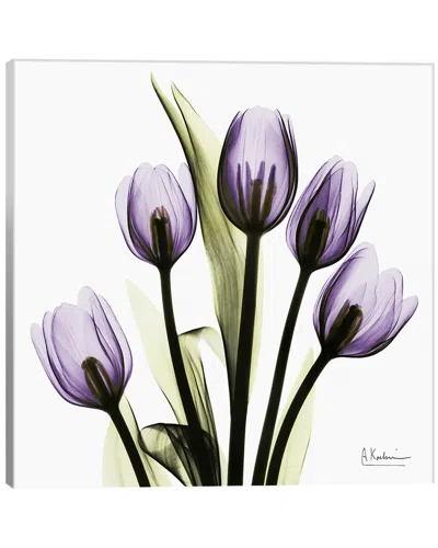 Icanvas Tulips Imagine By Albert Koetsier Wall Art