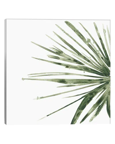 Icanvas Verdant Impressions Iv Minimalist Canvas Art Print