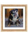 ICANVAS ENGLISH BULLDOG PAINTING BY ALEX MOVCHUN WALL ART