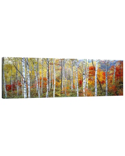 Icanvas Fall Trees, Shinhodaka, Gifu, Japan By Panoramic Images Wall Art In Multi