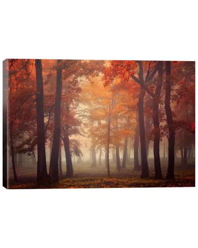 Icanvas Feel By Ildiko Neer Wall Art