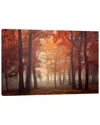 Icanvas Feel By Ildiko Neer Wall Art
