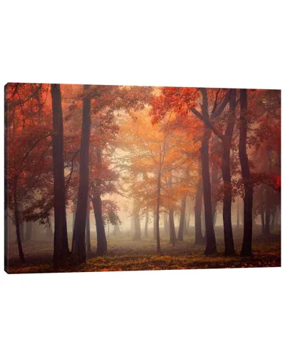 Icanvas Feel By Ildiko Neer Wall Art In Multi
