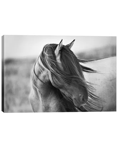 Icanvas Fierce Grace By Tony Stromberg Wall Art