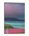 ICANVAS FLOWER ISLAND STORM PINK BY JULIANA LOOMER WALL ART