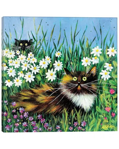 Icanvas Flower Prowlers By Kim Haskins Wall Art