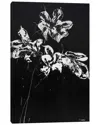 Icanvas Full Moon Wall Art In Multi