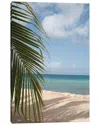 Icanvas Gallery Wrapped Canvas Art