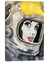 Icanvas Gallery Wrapped Canvas Art