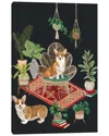 Icanvas Gallery Wrapped Canvas Art