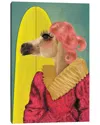 Icanvas Gallery Wrapped Canvas Art