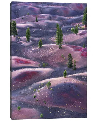 Icanvas Gallery Wrapped Canvas Art