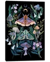 Icanvas Gallery Wrapped Canvas Art