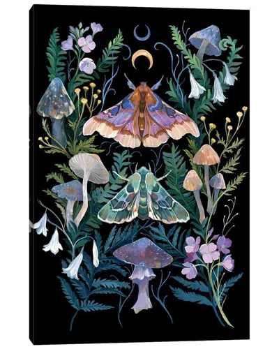 Icanvas Gallery Wrapped Canvas Art