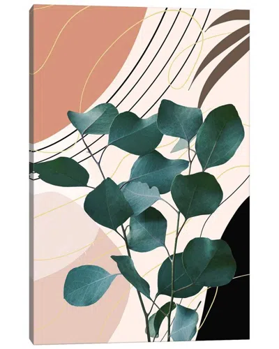 Icanvas Gallery Wrapped Canvas Art