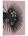 Icanvas Gallery Wrapped Canvas Art