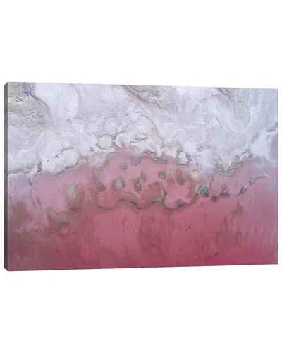 Icanvas Gallery Wrapped Canvas Art In Pink