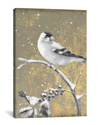 Icanvas Goldfinch Iii By Beth Grove In Multi